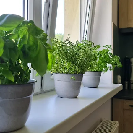 Szumia Plaziny Apartman Muszyna