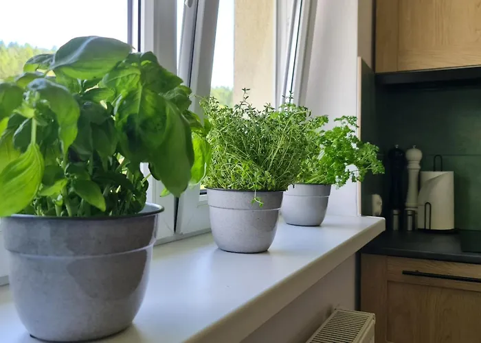 Szumia Plaziny Appartamento Muszyna